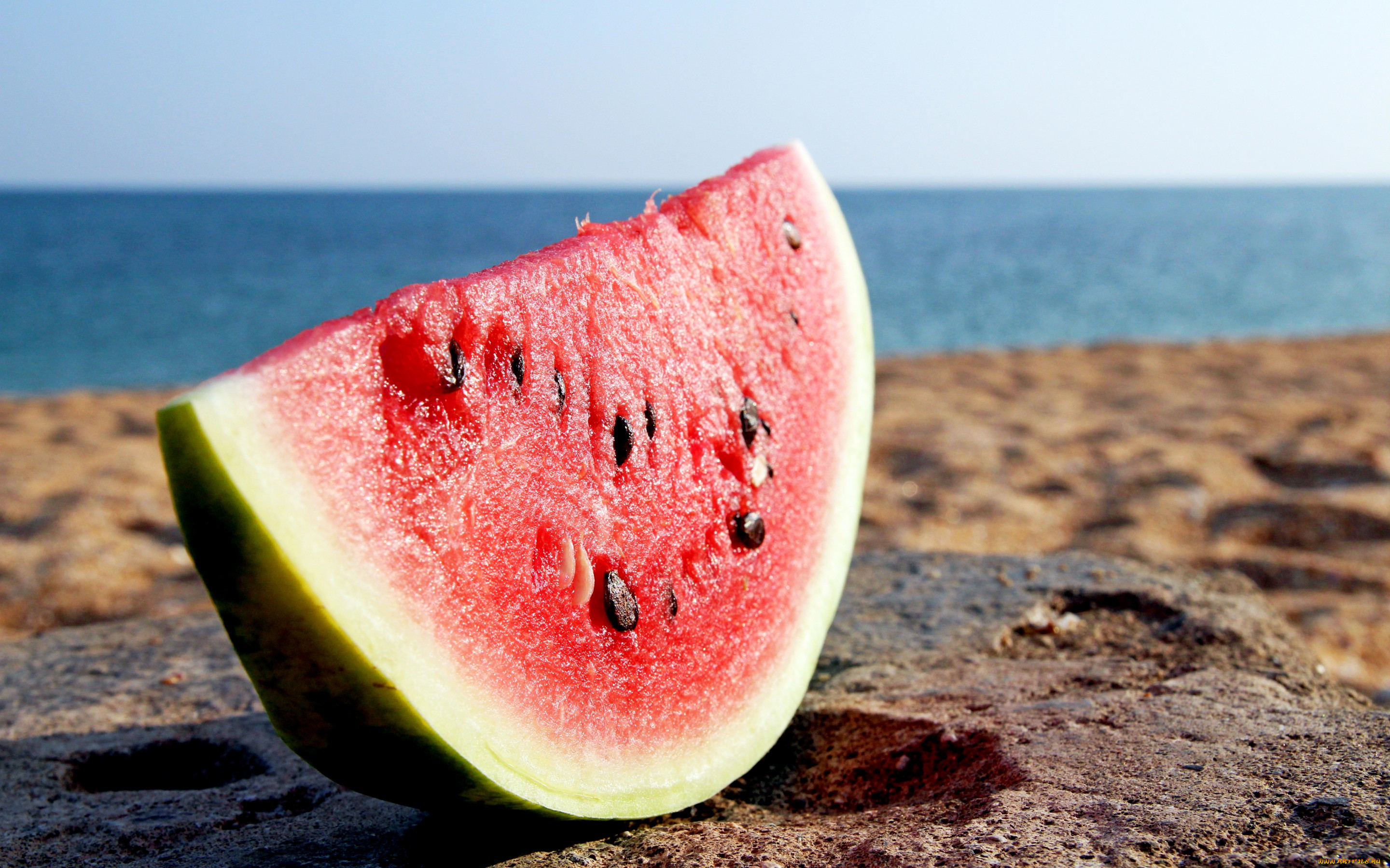 , , water, melon, , , , 